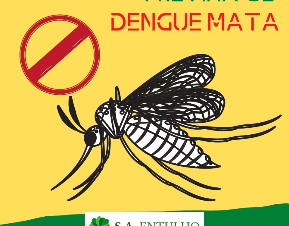 Dengue mata, previna-se!